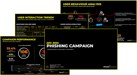 Example report for Spear Shield Managed Phishing Service blog post